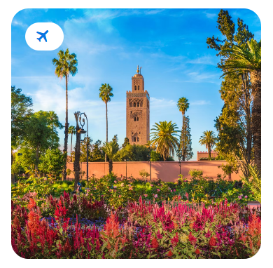 Sunlit view of the Koutoubia Mosque and gardens in Marrakech