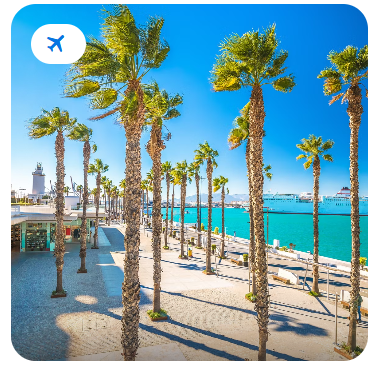 Sunny palm-lined waterfront promenade overlooking a turquoise harbour